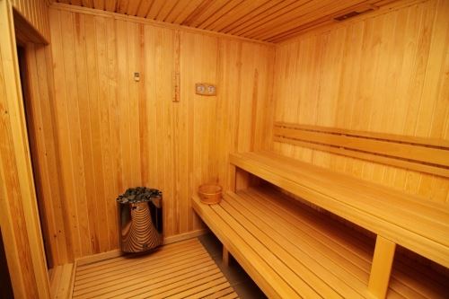 sauna sobası