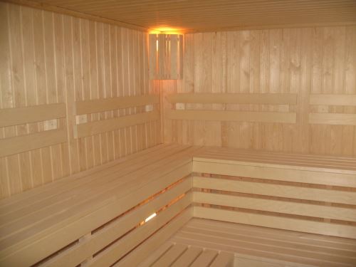 sauna kesiti